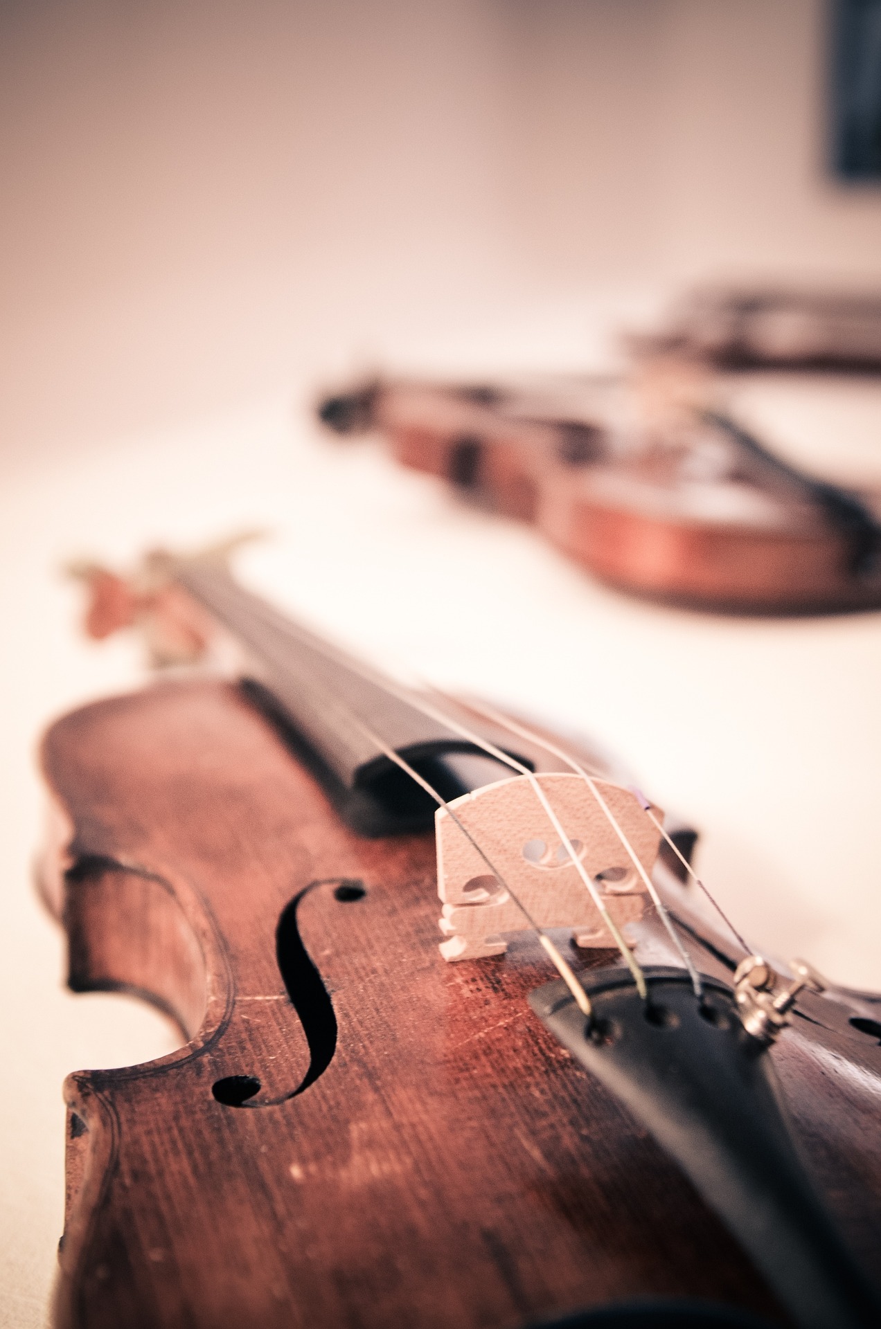 theangryteddy-violin-338518_1920